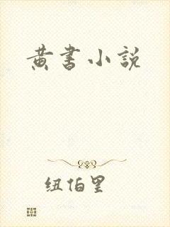 黄书小说