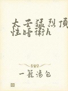 太子猛烈顶弄双性暗卫h