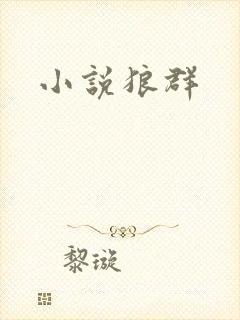 小说狼群