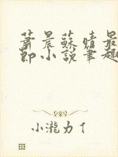 萧晨苏晴最新章节小说笔趣阁