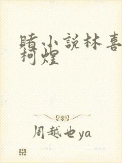 赌小说林喜朝和柯煜