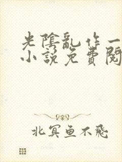 光阴乱作一团的小说免费阅读