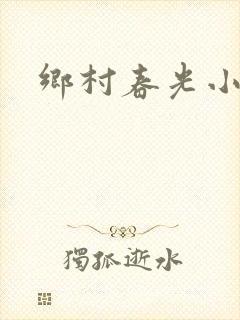 乡村春光小说