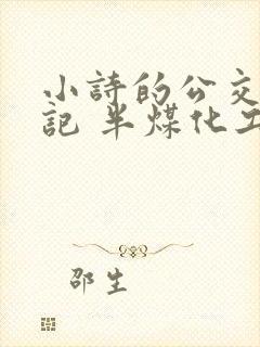 小诗的公交车日记 半煤化工