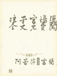 浪子官场猎艳记全文免费阅读