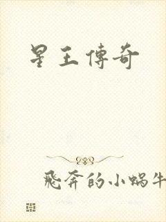星王传奇