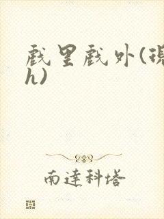 戏里戏外(现场h)