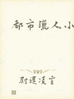 都市猎人小说