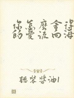 你怎么舍得让我的爱流向海