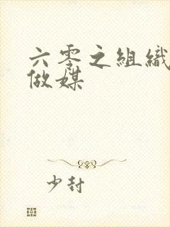 六零之组织给我做媒