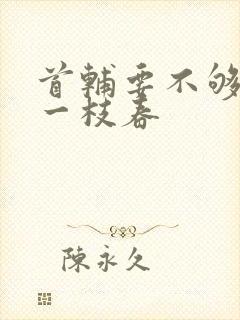 首辅要不够po一枝春