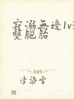 宠溺无边1v3双胞胎