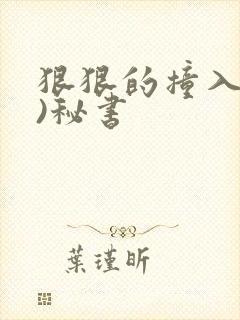 狠狠的撞入(h)秘书