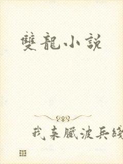 双龙小说