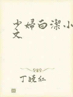 少妇白洁小说全文