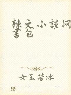 辣文小说网第二书包