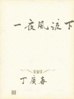 一夜风流下载