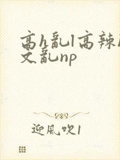 高h乱l高辣h文乱np