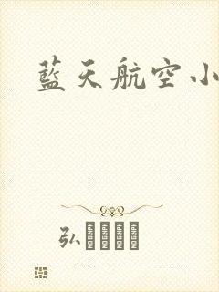 蓝天航空小说