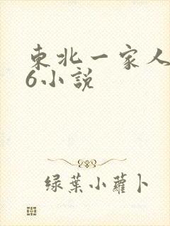 东北一家人1一6小说