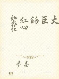 紫红的巨大顶开花心