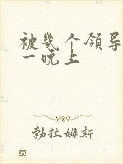 被几个领导玩弄一晚上