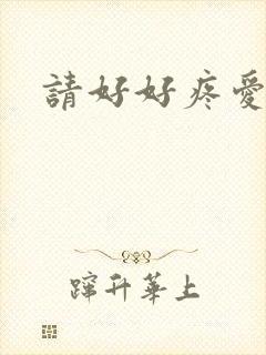 请好好疼爱里面