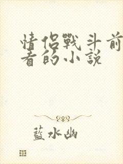 情侣战斗前适合看的小说