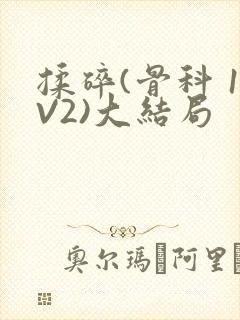 揉碎(骨科 1V2)大结局