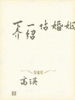 下一站婚姻剧情介绍