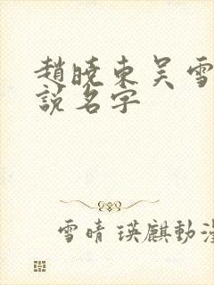 赵晓东吴雪晴小说名字