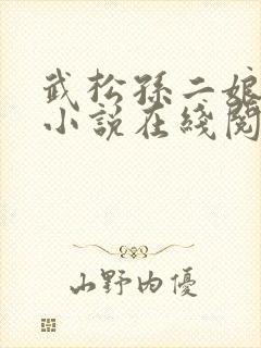 武松孙二娘云雨小说在线阅读