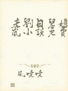 老刘日儿媳妇张岚小说免费阅读