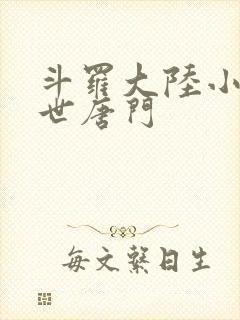 斗罗大陆小说绝世唐门