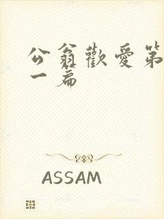 公翁欢爱第三十一篇