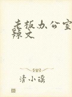 老板办公室系列辣文