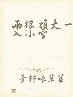 两根硕大一起挤入小雪