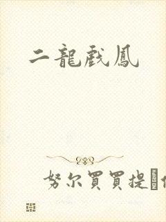 二龙戏凤