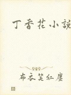 丁香花小说