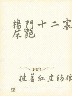 杨门十二寡妇肉床艳