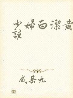 少妇白洁黄色小说