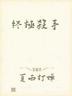 终极杀手