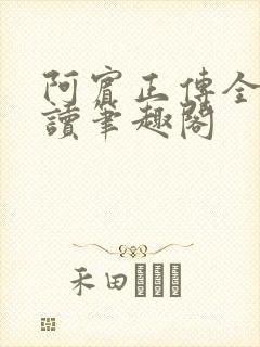 阿宾正传全文阅读笔趣阁