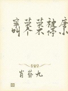 宁荣荣被唐三桶叫个不停小说