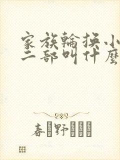 家族轮换小说第二部叫什么名字