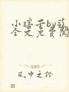 小瞎子by苏软全文免费阅读