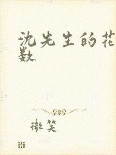 沈先生的花式调数