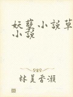 妖孽小说草莓酱小说