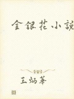 金银花小说乐可