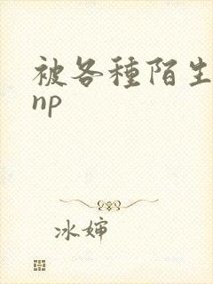 被各种陌生人 np